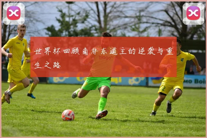 世界杯回顾南非东道主的逆袭与重生之路